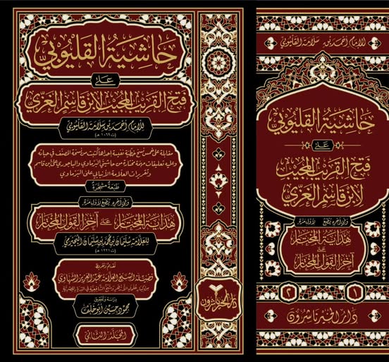 حاشية القليوبي على شرح الغزي 2/1