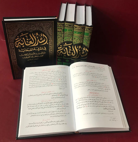 أسد الغابة 1/6